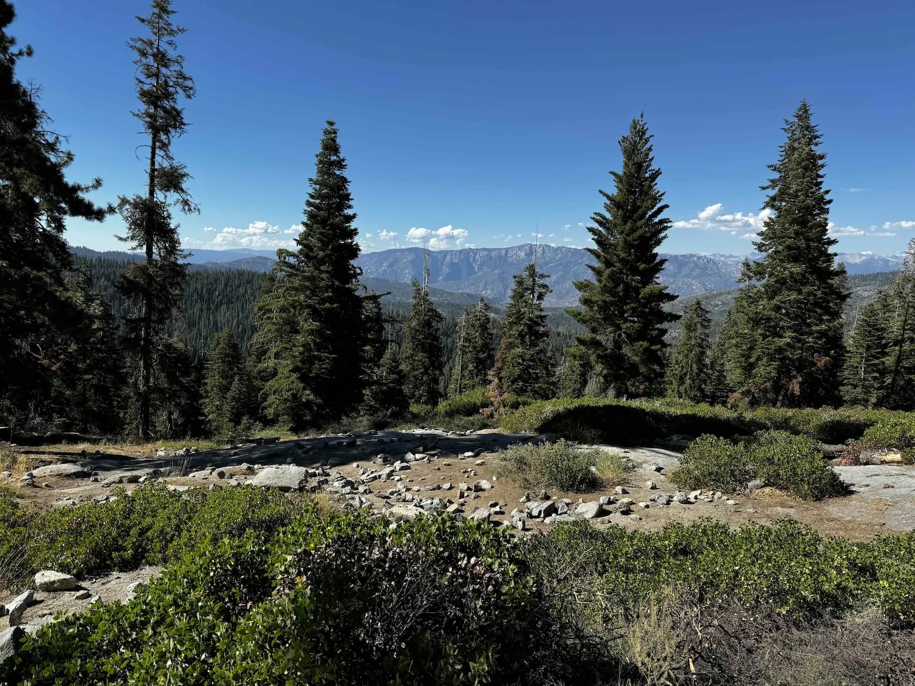 A ridgetop clearing in pine timber looking out over a forested valley and distant mountains, the kind of ground a hunter has to read by eye