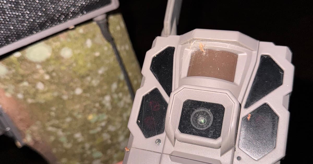 Trail Camera Not Working? Diagnose It by the Symptom, Not the Brand