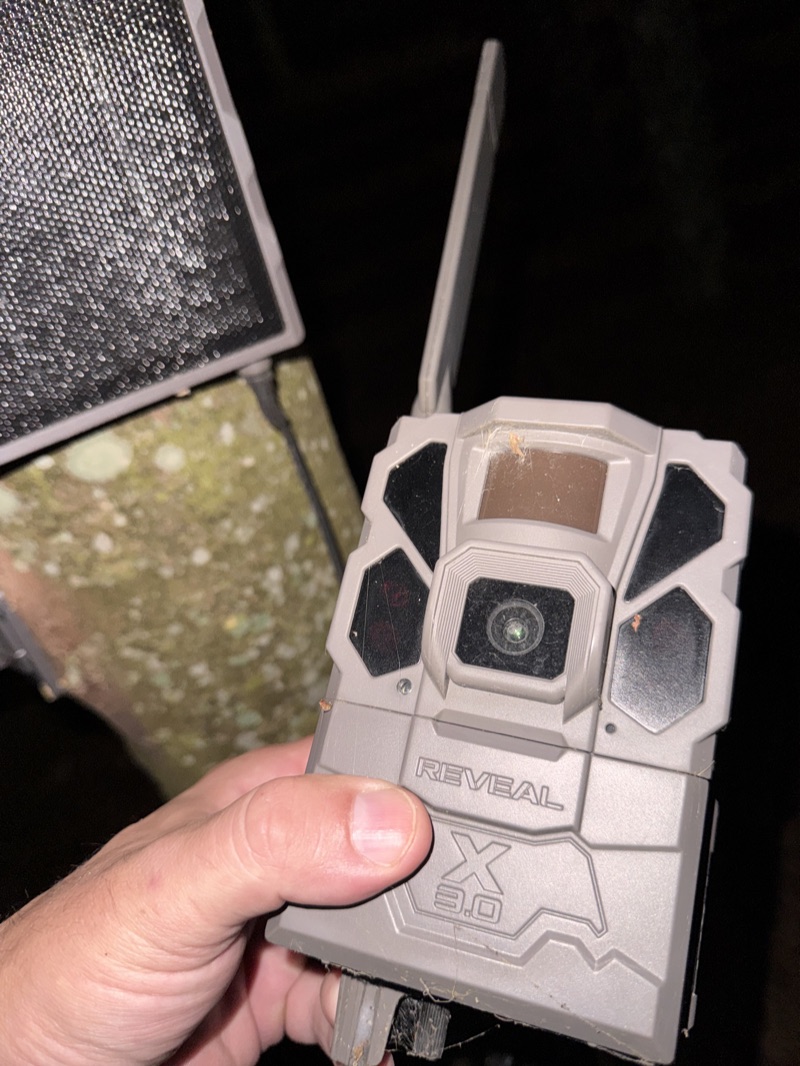Close-up of a trail camera lens partly covered by a spider web